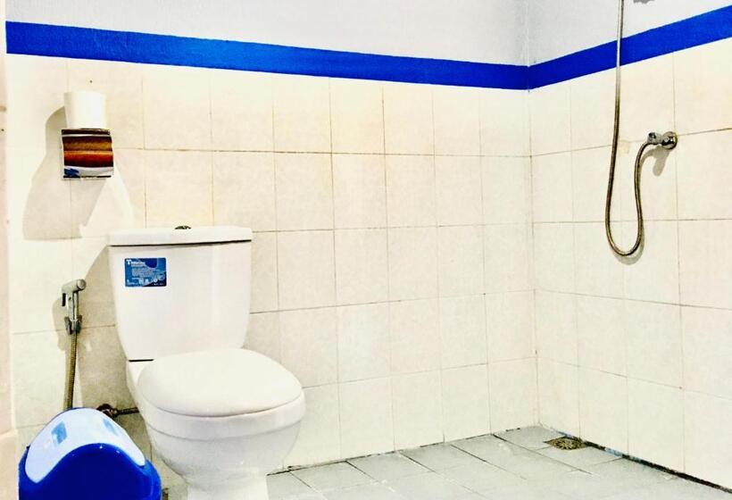 פנסיון Ampik Batur