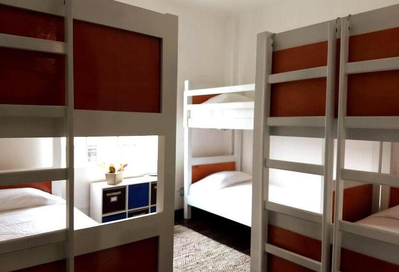 Reg Amplio Y Acogedor Depto Centro Histórico Cdmx