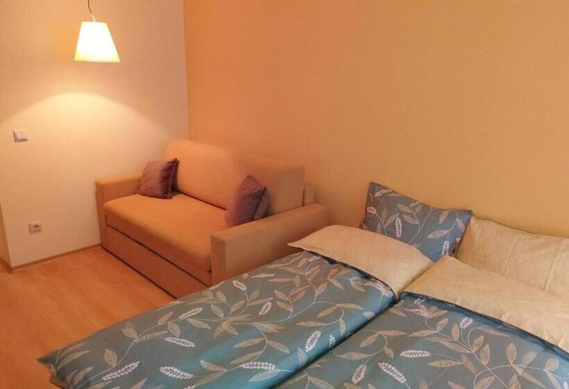 Studio Villa Park 207