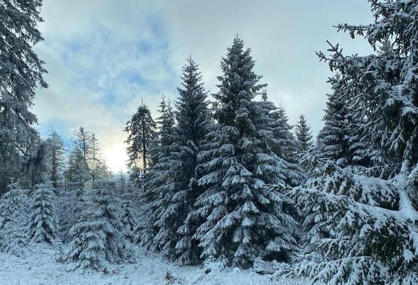 The Lodge Braunlage
