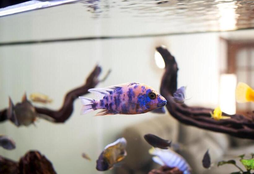 Villa Acuario   Especial Familias