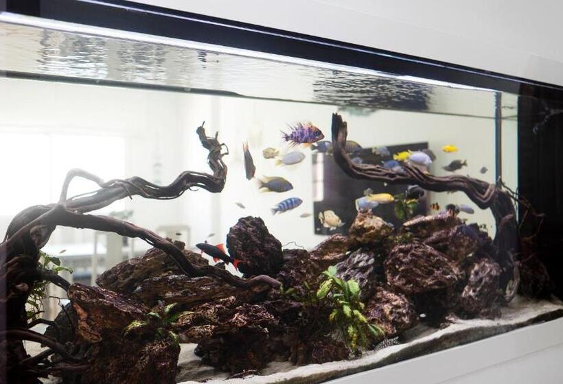 Villa Acuario   Especial Familias