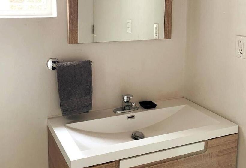 125 Donceles Terraza Privada Centro Histórico Cdmx