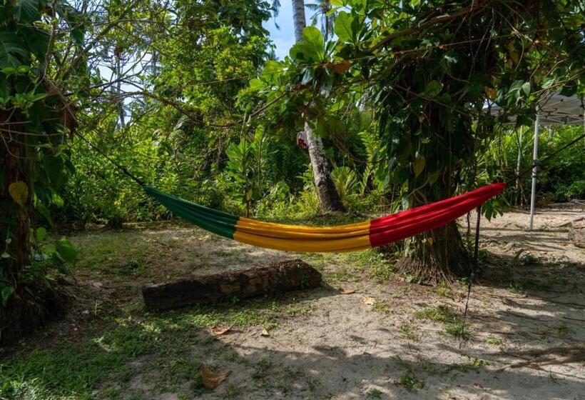 هاستل Soffta Surf Ranch