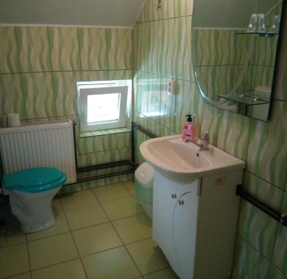 Bed and Breakfast Pensiunea Valea Beiului