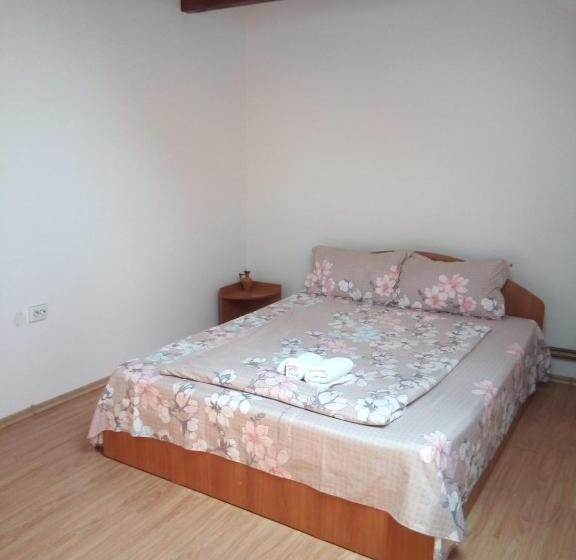 Bed and Breakfast Pensiunea Valea Beiului