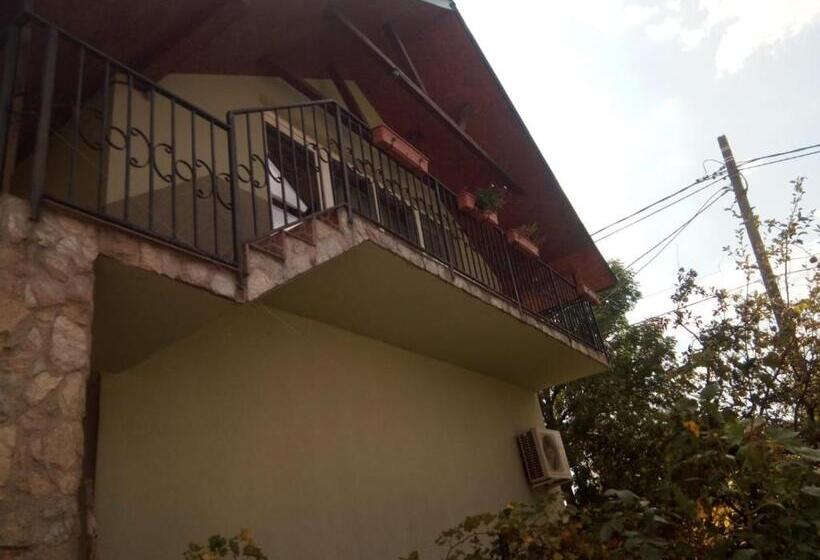 Bed and Breakfast Pensiunea Valea Beiului