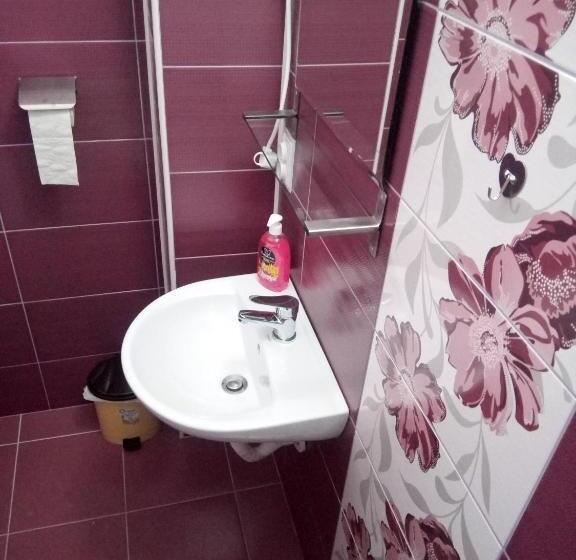 Bed and Breakfast Pensiunea Valea Beiului