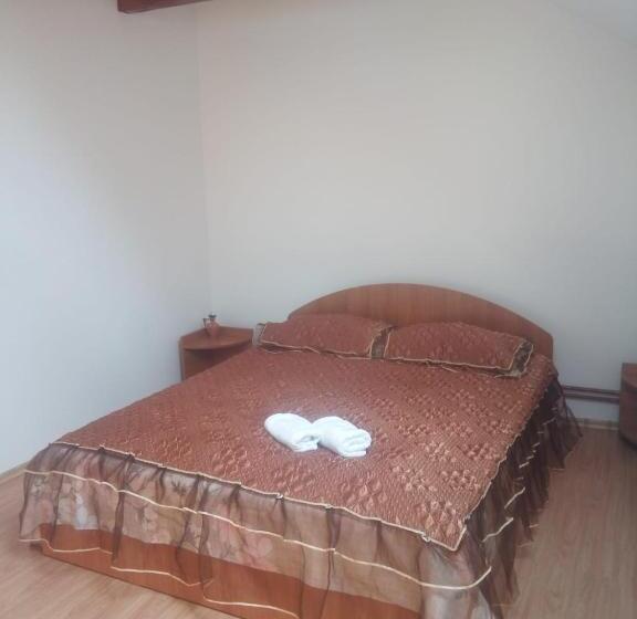 Bed and Breakfast Pensiunea Valea Beiului