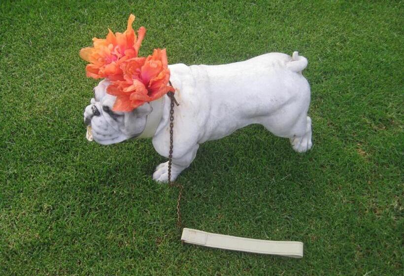 Breakaway Bed & Breakfast