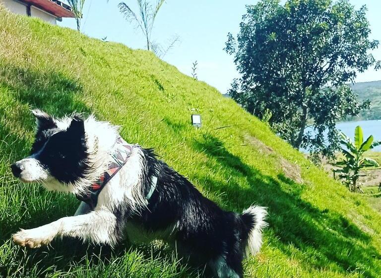 Chalé Mirante, Piscina, Cachoeira, Lago E Vista Espetacular