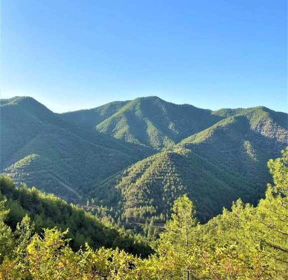 Gaia Residence, Peristerona, Polis Chrysochous