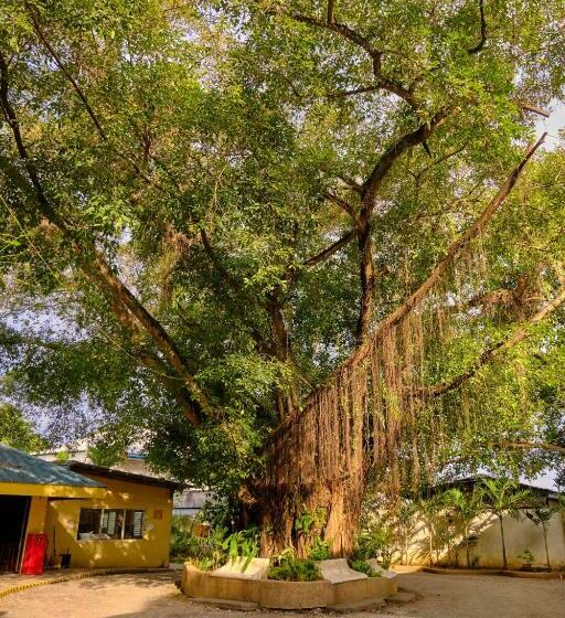 Отель Hidden Hill