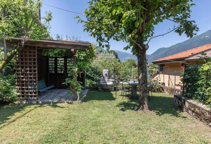 Luxury Lakefront Property