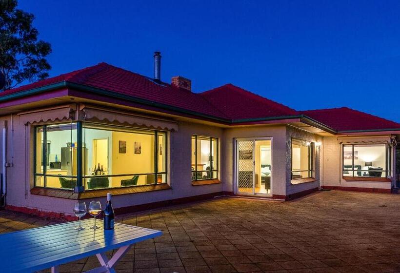 Mcgill Vineyard Barossa