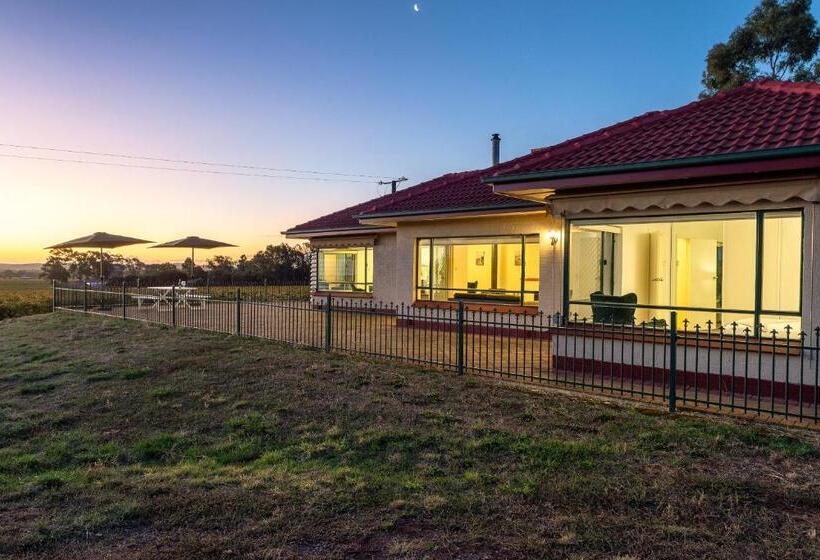 Mcgill Vineyard Barossa