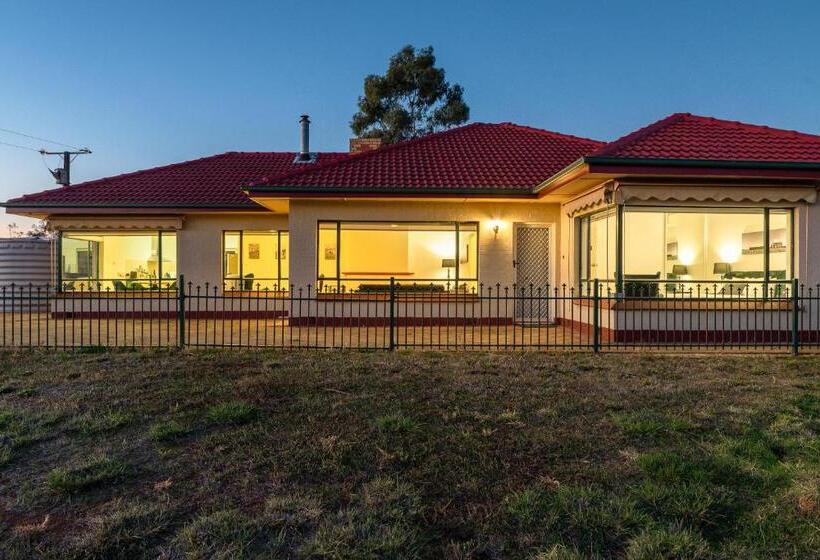 Mcgill Vineyard Barossa