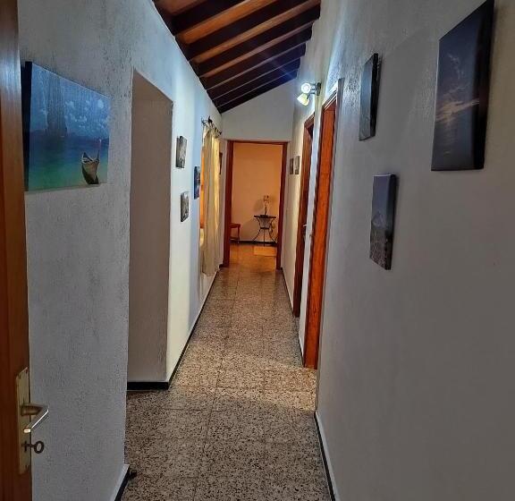 Mirador Vista Palacios