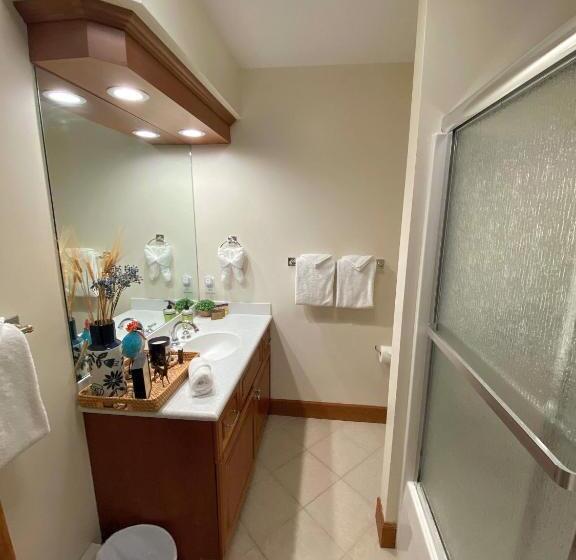 P4 New Ski In Ski Out Presidential View Luxury Home W Garage Ping Pong