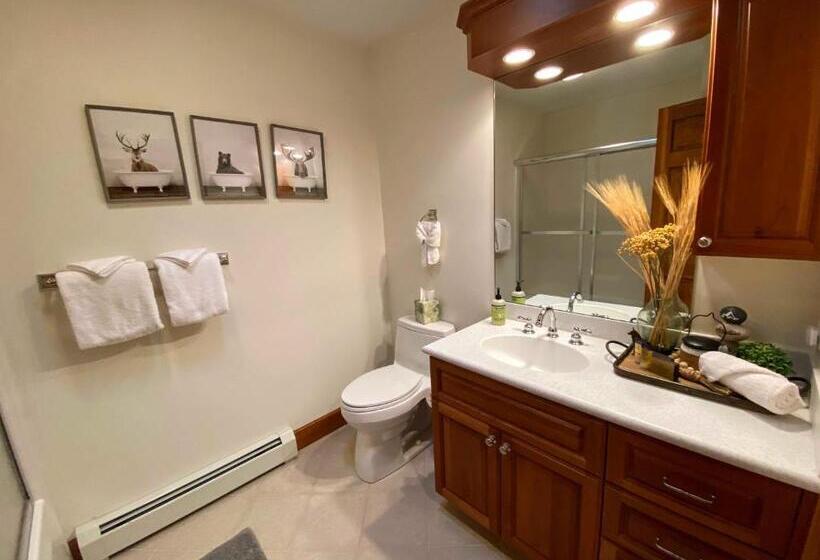 P4 New Ski In Ski Out Presidential View Luxury Home W Garage Ping Pong