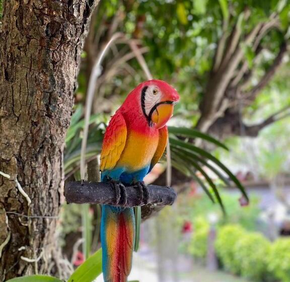 بنسيون นพรัตน์การ์เด้นฮิลล์