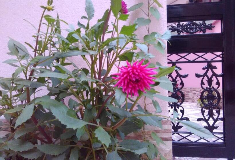 פנסיון стаи за гости калина и милан