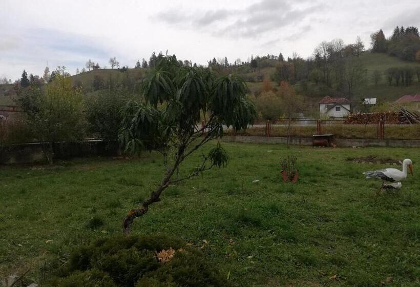 بنسيون Casa Cozorici