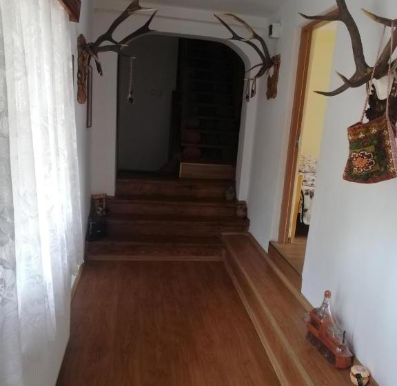 بنسيون Casa Cozorici