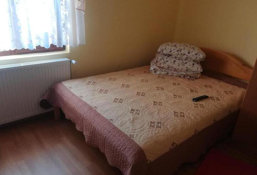 פנסיון Casa Cozorici