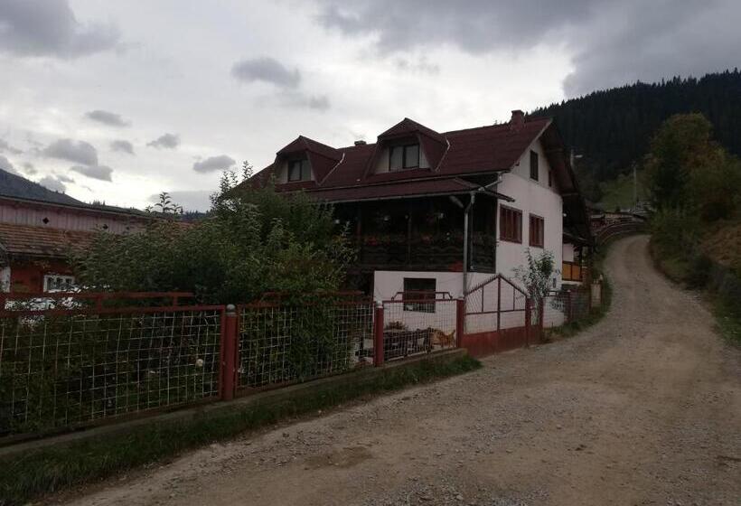 פנסיון Casa Cozorici