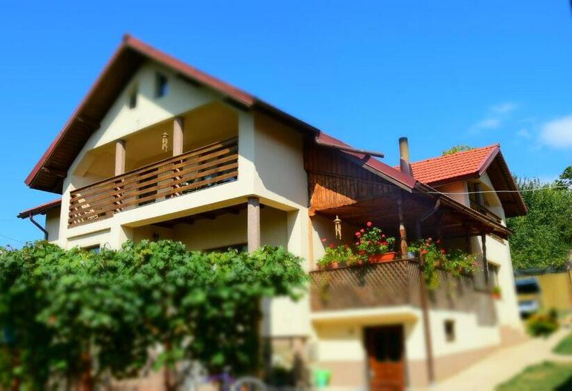 פנסיון Casa Smeilor Horezu