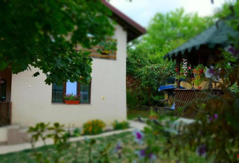 پانسیون Casa Smeilor Horezu