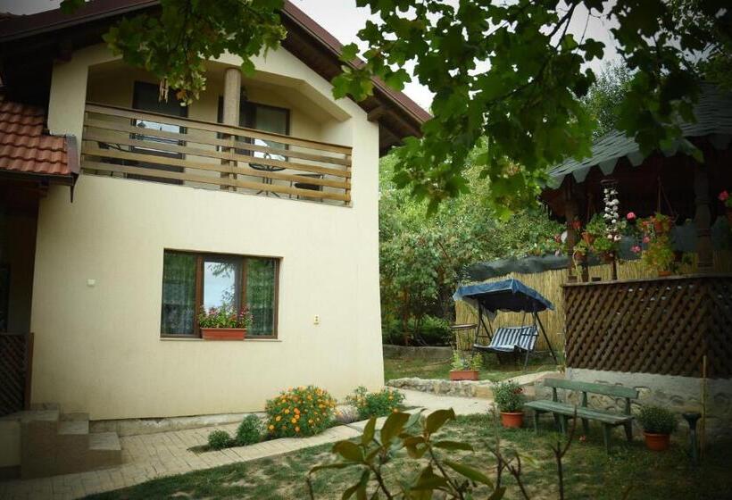 פנסיון Casa Smeilor Horezu