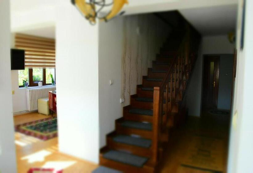 פנסיון Casa Smeilor Horezu