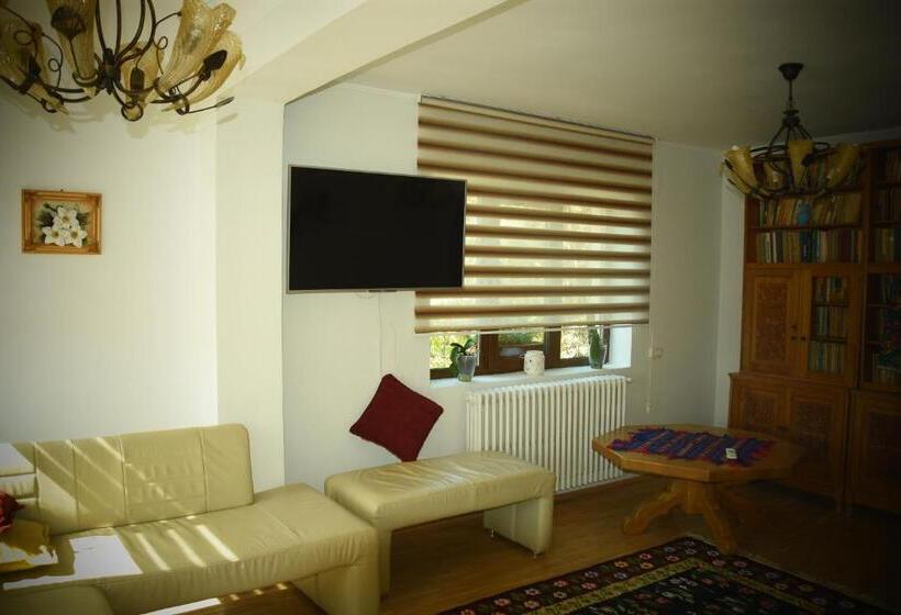 פנסיון Casa Smeilor Horezu