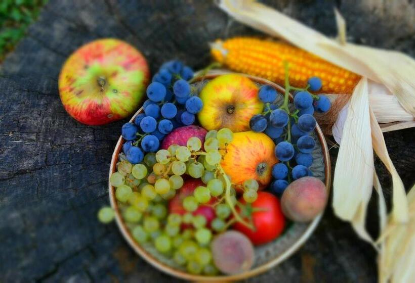 פנסיון Casa Smeilor Horezu