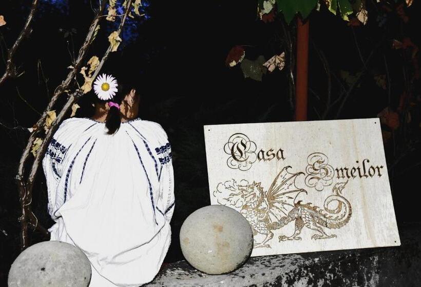 פנסיון Casa Smeilor Horezu