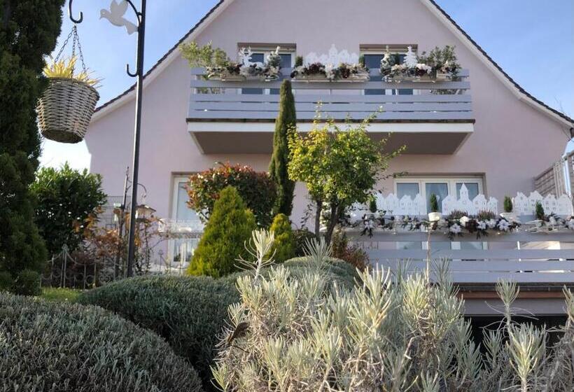 ペンション Gite Riquewihr C Est Beau La Vie Alsace