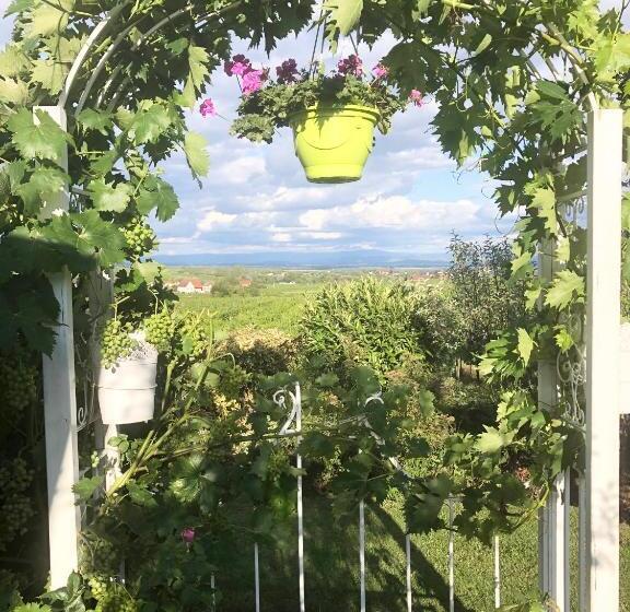 ペンション Gite Riquewihr C Est Beau La Vie Alsace