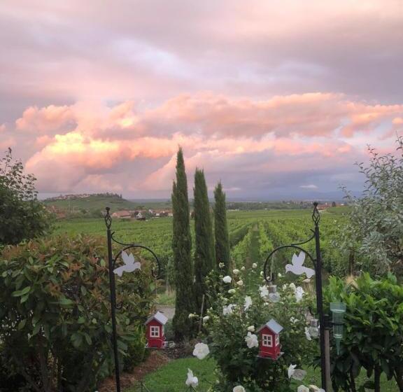ペンション Gite Riquewihr C Est Beau La Vie Alsace
