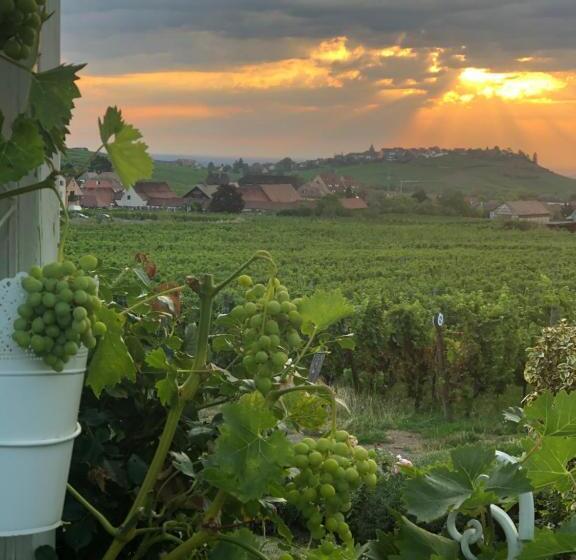 ペンション Gite Riquewihr C Est Beau La Vie Alsace