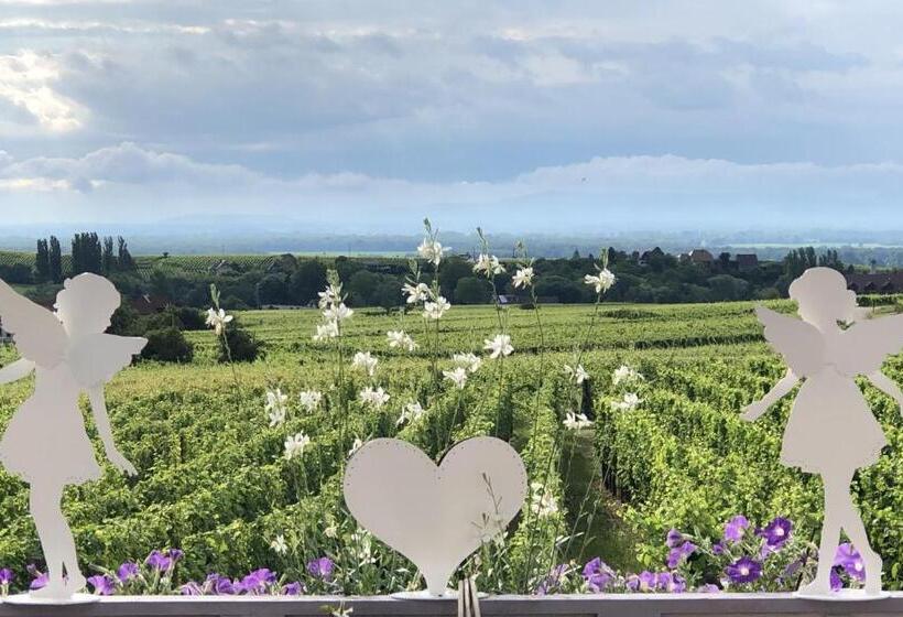 ペンション Gite Riquewihr C Est Beau La Vie Alsace