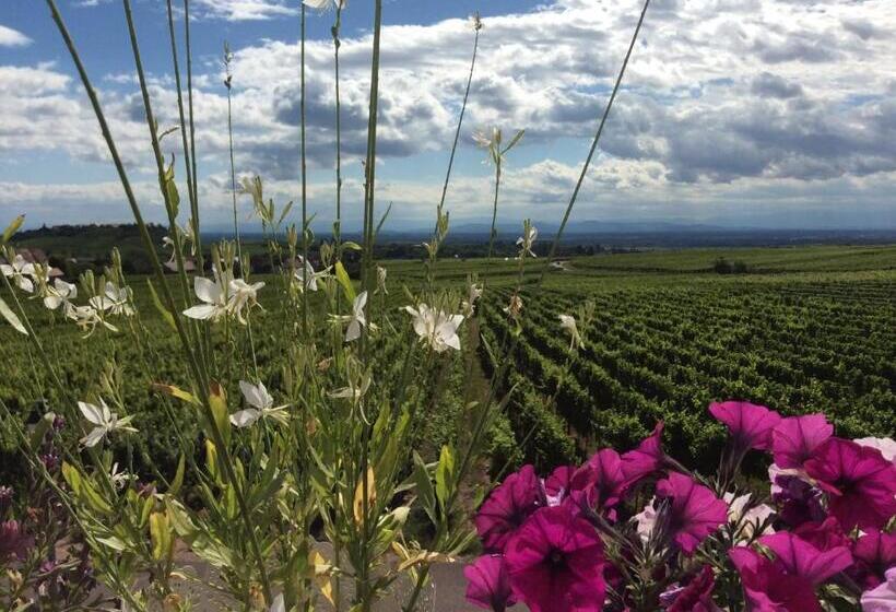 ペンション Gite Riquewihr C Est Beau La Vie Alsace