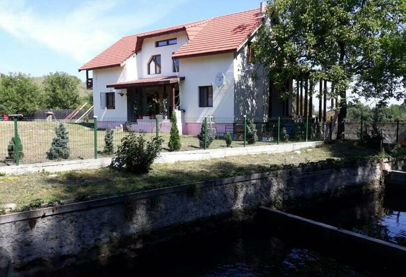 بنسيون La Păstravaria Cerna