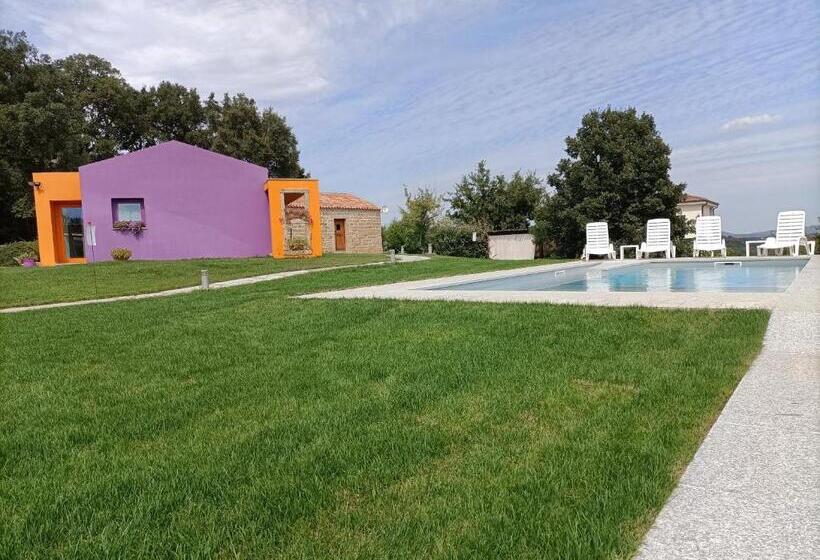 بنسيون Limbara Dreaming