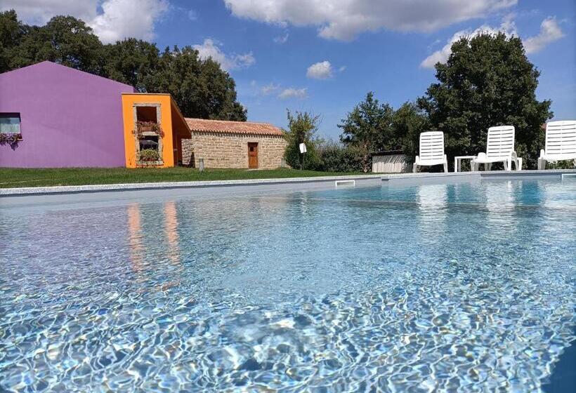 بنسيون Limbara Dreaming