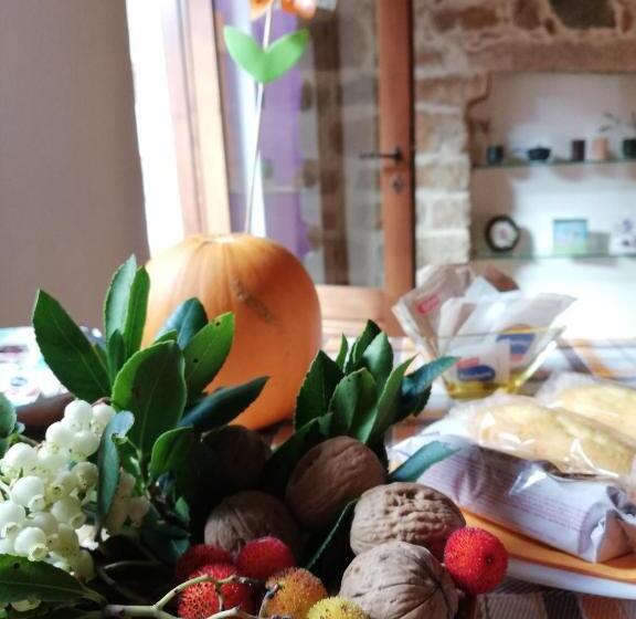 بنسيون Limbara Dreaming