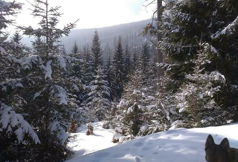 פנסיון Penzion A Restaurace Na Hvězdě