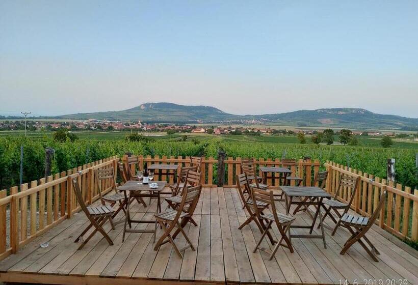 פנסיון Penzion A Vinařství Lelíkovi