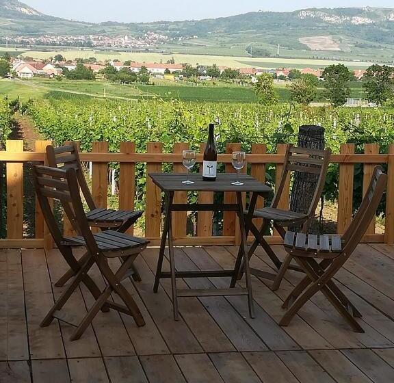 פנסיון Penzion A Vinařství Lelíkovi